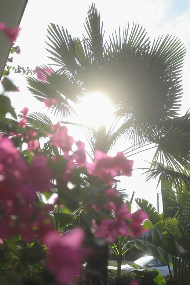 Egzotični vrt Igora Čupića