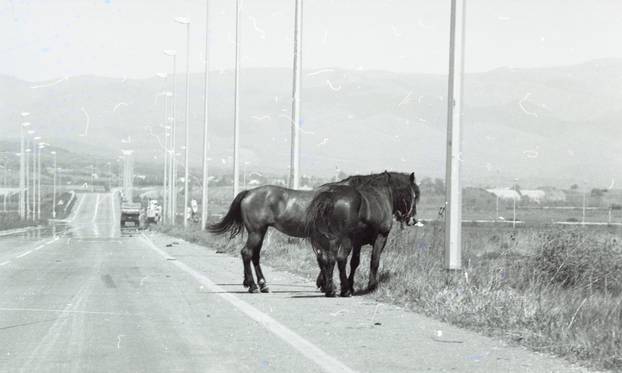 Autocesta u Okučanima 4.5.1995.