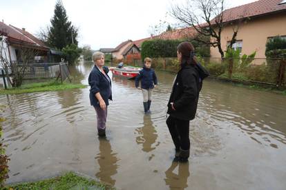 Poplavljeni Brodarci uz rijeku Kupu, ljudi spašavaju životinje