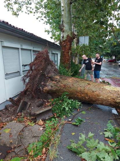 FOTO Neviđeni kaos u Zagrebu i okolici: Vjetar čupao stabla i dizao krovove po cijelom gradu