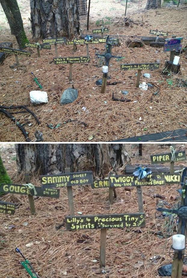 FOTO Jezivo! 16 ljudi preselilo u nove domove, dočekalo ih ovo: Oltari za magiju, lutke, zubi...