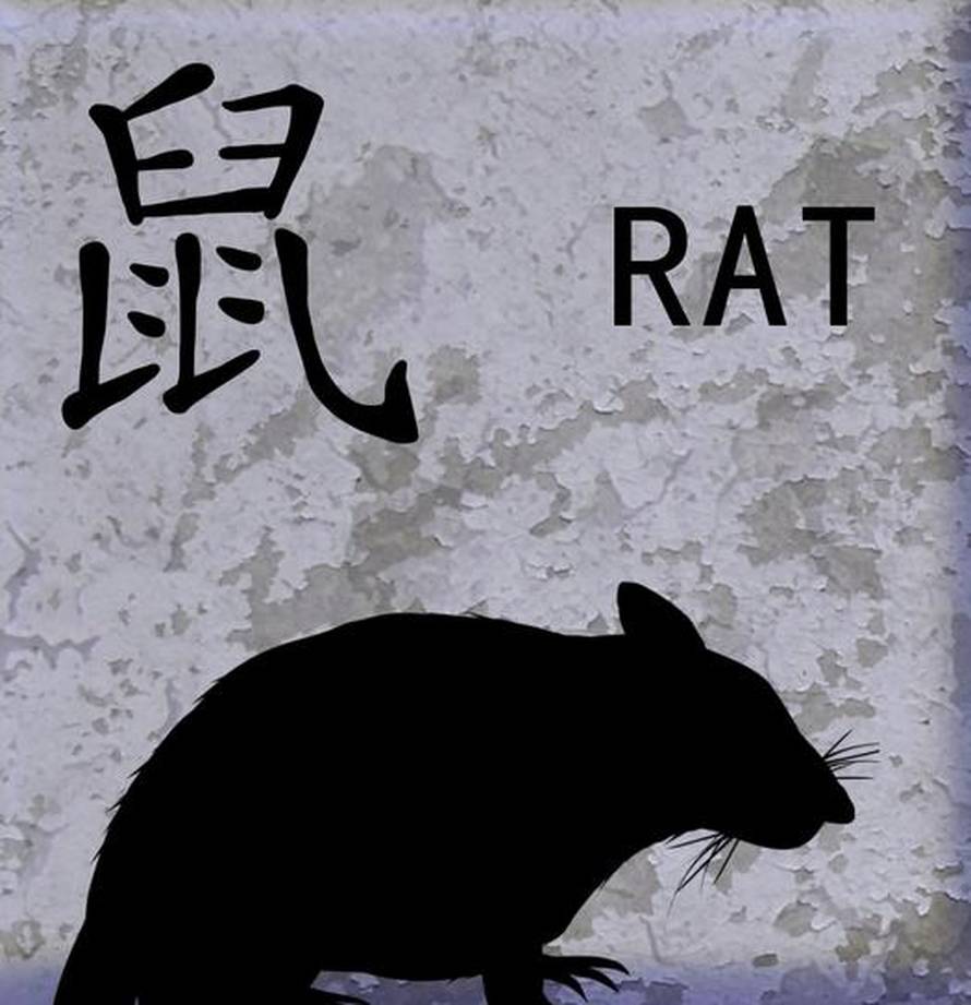 Kineski horoskop za rujan: Neki će uživati u novoj ljubavi dok druge čeka odlazak liječniku