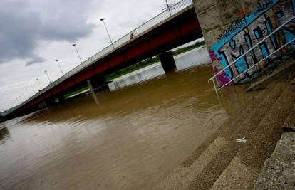 Samoubojicu koji je skočio u Savu našli živog u grmlju