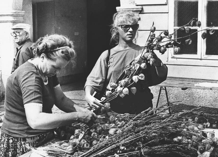 Mira Furlan je na stup srama prikovana zbog veze sa srpskim redateljem i 'izdaje' zemlje...