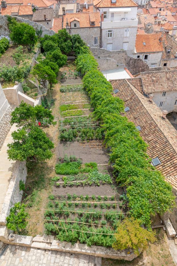 Dubrovnik: Vrtovi franjevačkog samostana