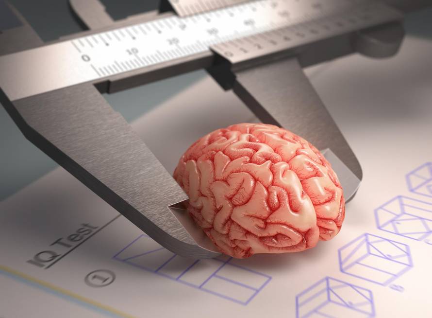 Stručnjaci: Što zapravo test inteligencije otkriva o čovjeku