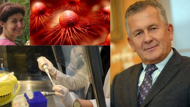 Nova nada za oboljele od raka: Znanstvenici će pojačati protein koji će moći stopirati metastaze
