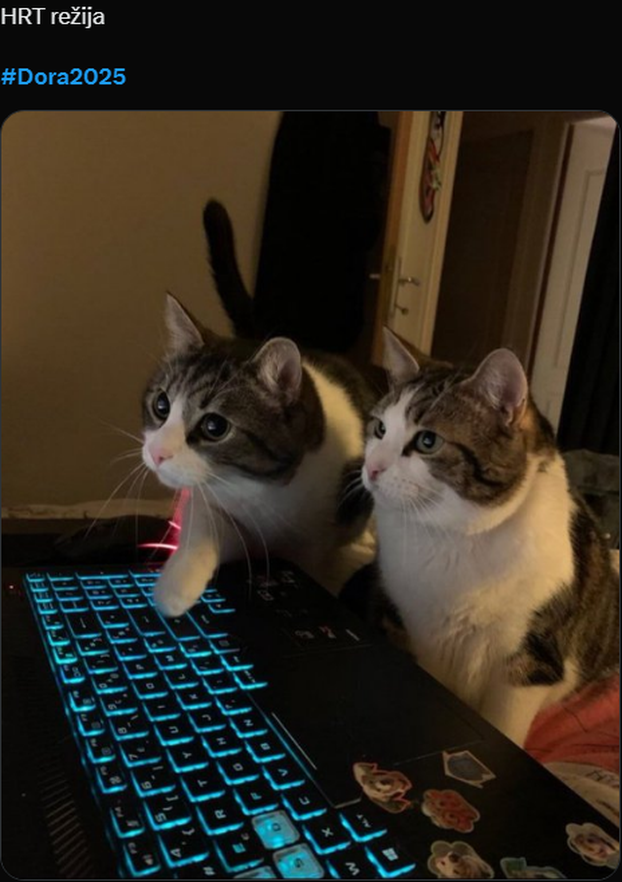 Ovo su najbolji memovi s Dore