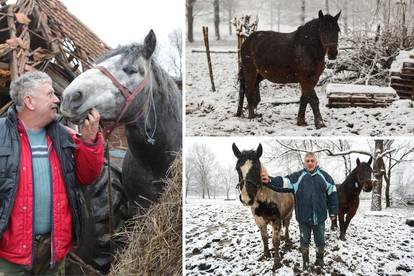 Spasio 16 konja u potresu, ali jedan nije izdržao: Pastuh mi se počeo tresti, srušio se i - uginuo