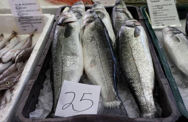 Šibenik: Poskupljenje plavog dizela još se nije odrazilo na cijene u ribarnici