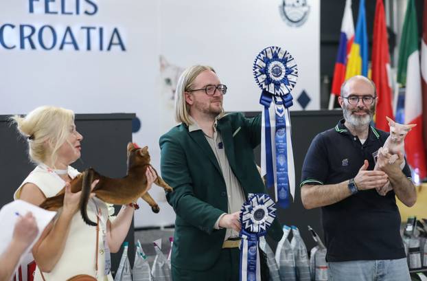 FOTO Otvorena Svjetska izložba mačaka u zagrebačkom Family Mallu! Traje i tijekom nedjelje