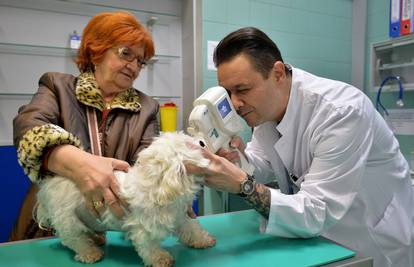 Revolucija u veterini: Matičnim stanicama spasili oči 40 pasa