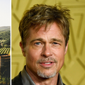 Bradu Pittu stigao račun od 1.5 milijuna eura zbog vinograda