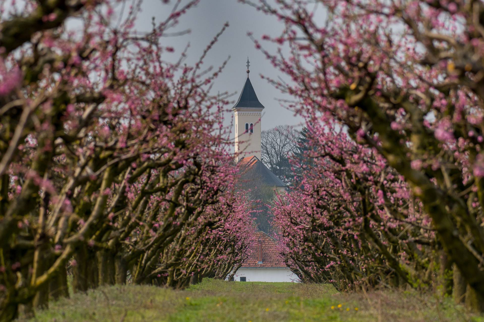 Otkrivamo zbog čega je ladanje u Slavoniji i Podravini ljetni hit