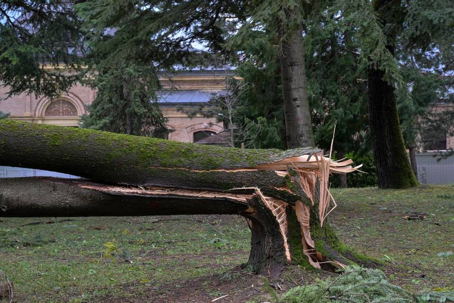 Zagreb: U nevremenu teško oštećeno gradsko groblje Mirogoj