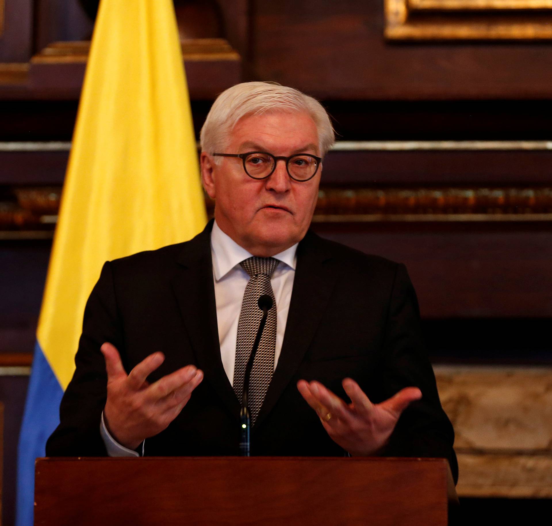 German FM Steinmeier speaks during a media conference at the San Carlos palace in Bogota