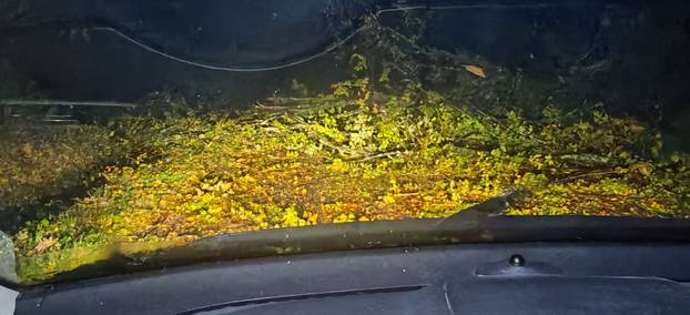 Nevrijeme pogodilo Zagreb. Vatrogasci su imali više od 50 intervencija! Pogledajte fotke