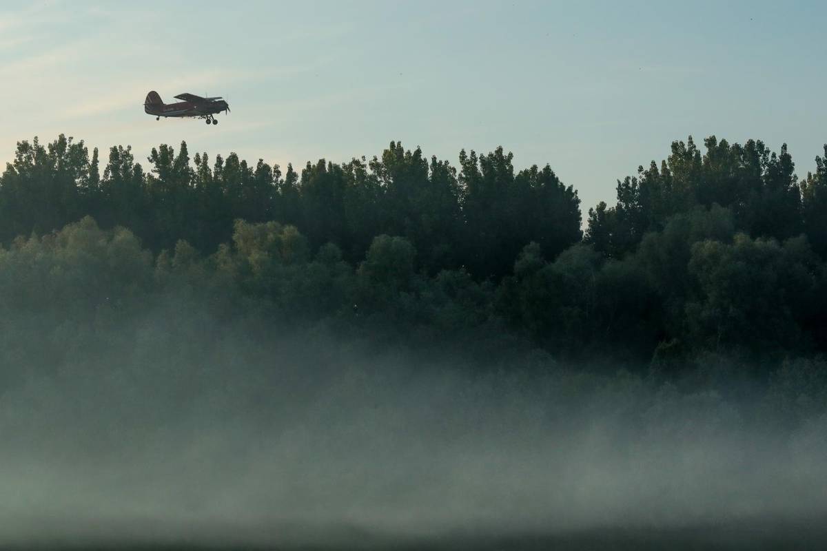 Počelo zaprašivanje komaraca u Osijeku: 'Najezda je krenula'