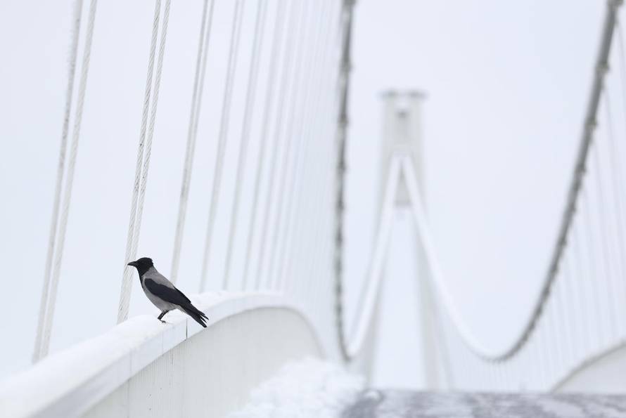 Snježni pokrivač je zabijelio je Osijek