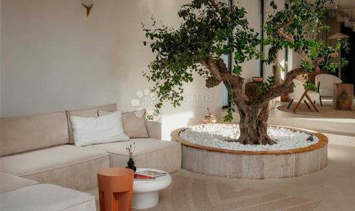 FOTO Nikad viđeno! Prodaje se vila na Šolti. Stoljetna maslina vam raste kraj kauča. Evo cijene