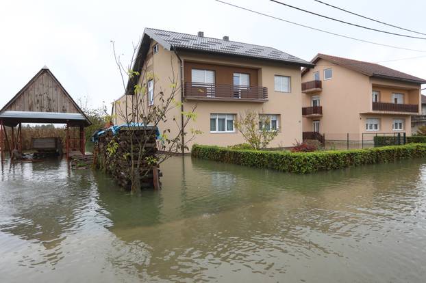 Poplavljeno naselje Brodarci uz rijeku Kupu, stanovnici spašavali  životinje 