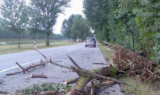 Na Mercedes mu u vožnji palo granje truloga stabla