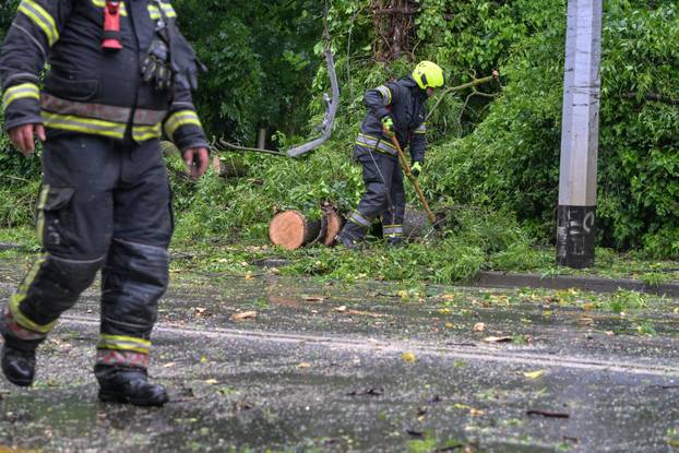 Zagreb: Palo stablo na Maksimirskoj, blokiran promet, vatrogasci na terenu