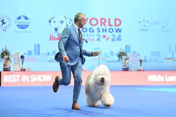 Atmosfera na posljednjem danu World Dog Showa na Zagrebačkom Velesajmu