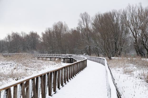 Kopački rit: Zimska idila u Baranji 