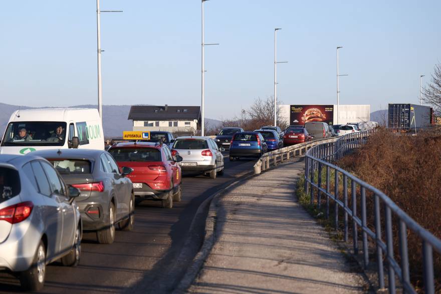 Zagreb: Gu&zcaron;ve na nadvo&zcaron;njaku u Sesvetama