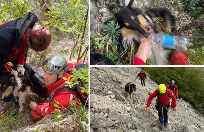 FOTO Riječki HGSS-ovci spasili psa koji se izgubio kod Brseča: Našli ga na dnu strme jaruge