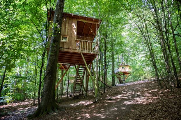 Tree house hotel