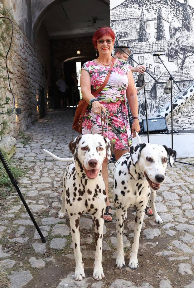 Šibenik:Otvoren muzej dalmatinskom psu,dalmatincu 