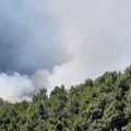 VIDEO Pogledajte buktinju koja prijeti kućama blizu Skradina: 'Teško je, dajemo sve od sebe'