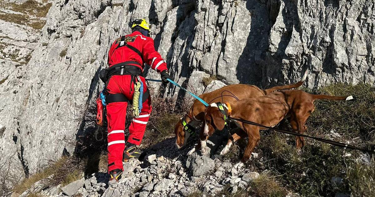 VIDEO HGSS Spasio Dva Psa Koja Su Nestala Na Dinari: 'Bili Su Na ...