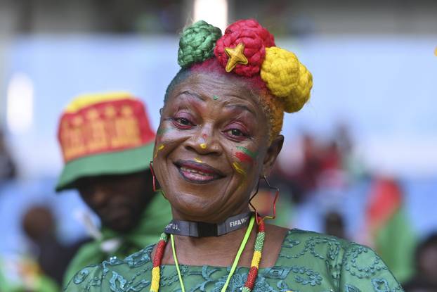 FIFA World Cup 2022 / Switzerland - Cameroon 1-0.