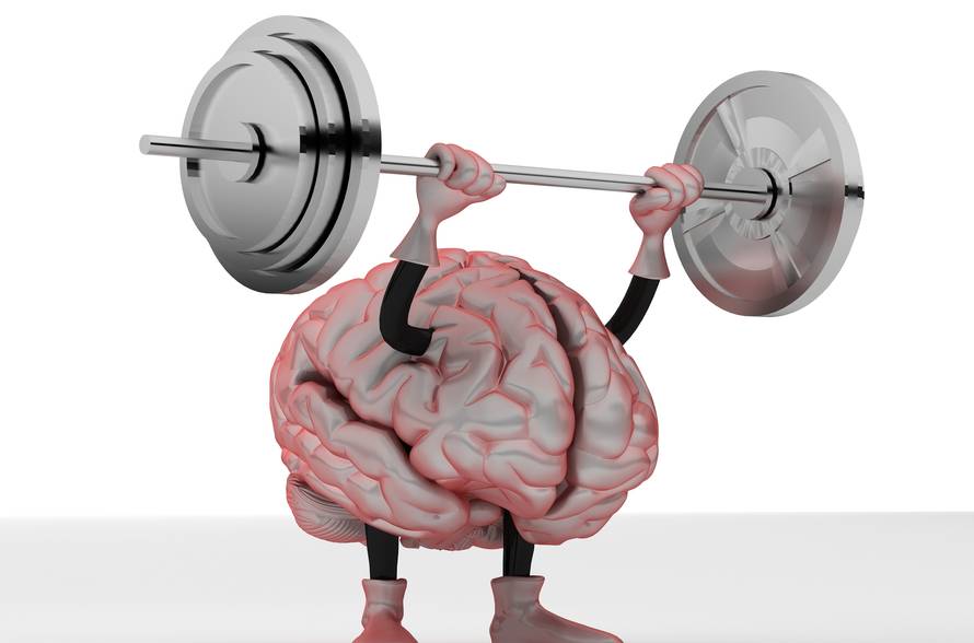 Pravi fitness za mozak: Sive stanice se bildaju uz križaljke