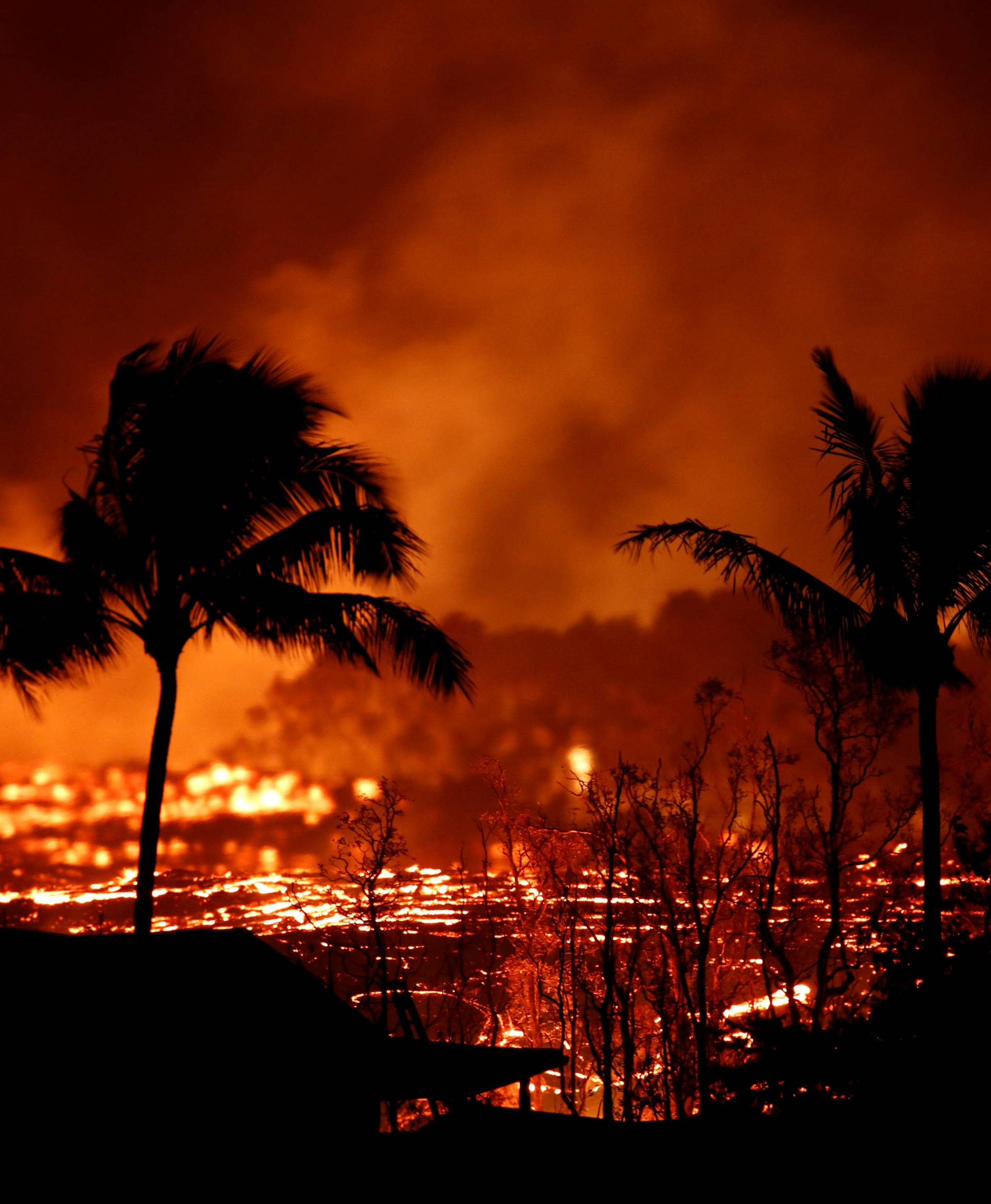 Lava flows past trees on the outskirts of Pahoa