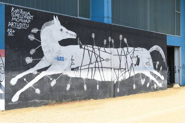 Bjelovar: Murali na pročelju sportske dvorane Srednje škole