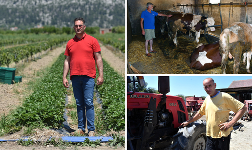 Poljoprivrednike kradu, ruše im cijene, uništava ih birokracija: 'Mi propadamo svake godine'