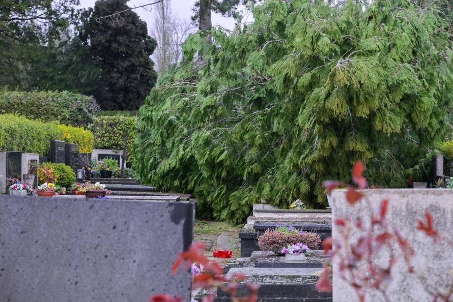 Zagreb: Teško oštećeno gradsko groblje Mirogoj
