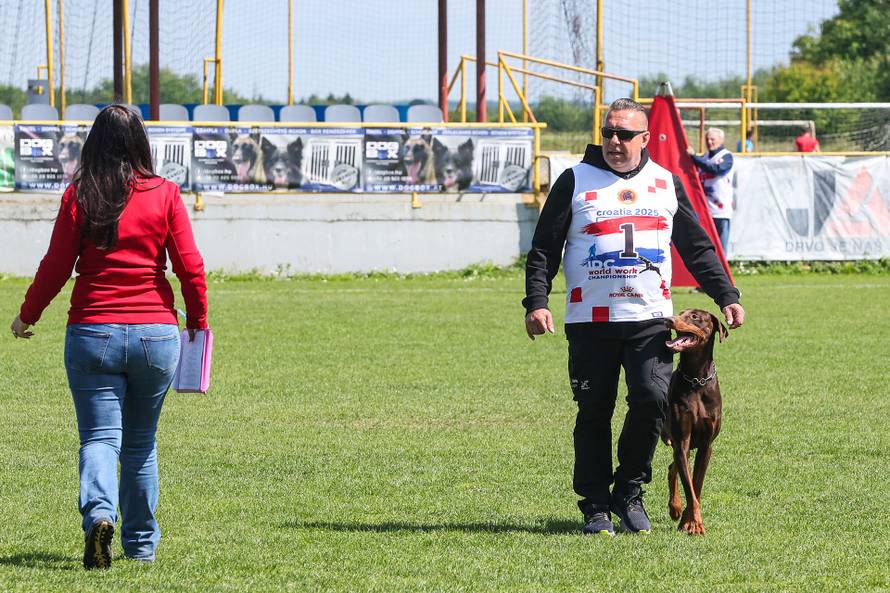 Međunarodna izložba natjecanje dobermana u Kurilovcu