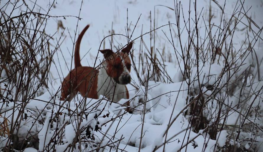 Općinska komunalka sama 'izlopatala' snijeg sa staze: 'Nema nikakve drame u tome'