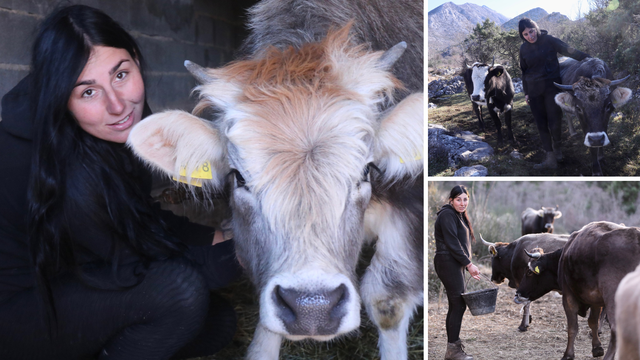Antonia (25) napustila grad i na Biokovu brine o 30 krava: 'To je ljubav. A sada trebam i bika...'