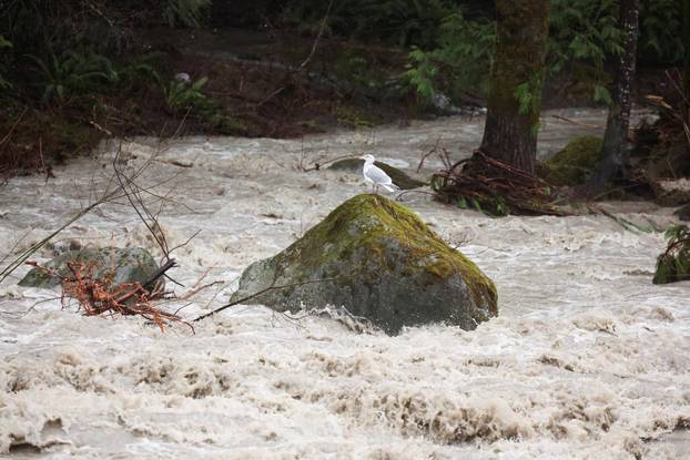 Floodwaters trigger evacuations and highway closures in British Columbia's Fraser Valley