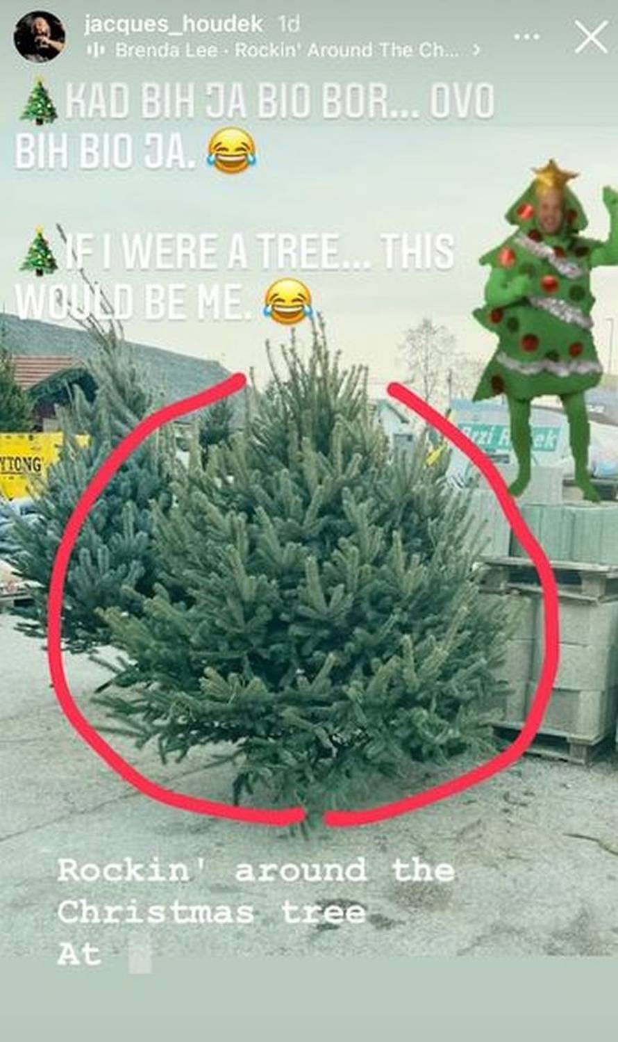 Jacques Houdek objavio fotku jelke pa nasmijao obožavatelje: 'Da sam bor, ovo bih bio ja...'