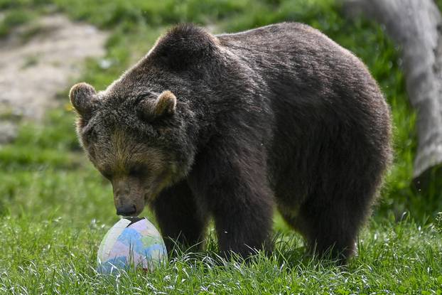Zagreb: Podjela pisanica uz edukativni pogram za djecu u zoološkom vrtu
