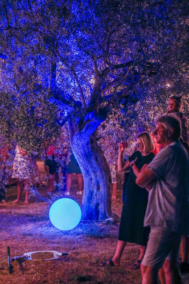 Fažana: Riva pretvorena u galeriju umjetničkih instalacija posvećenih plavetnilu mora