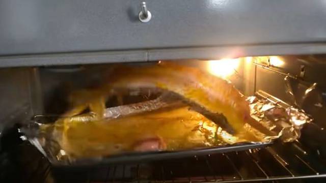 Scena iz egzorcista: Filet ribe pokušao pobjeći iz pećnice