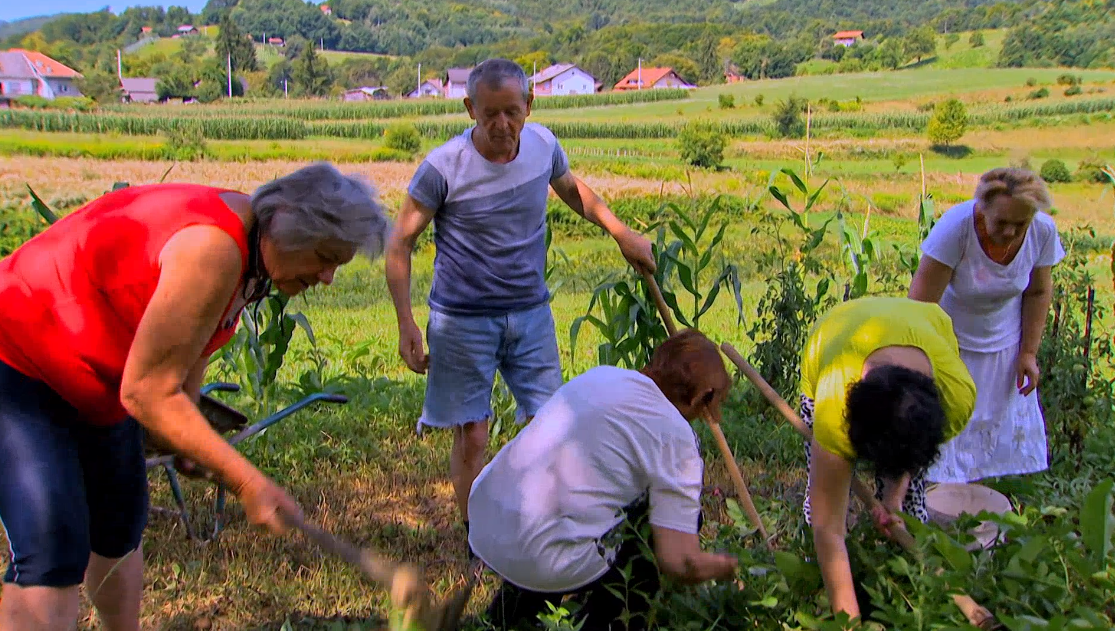 Farmer Branko iznenadio Smilju romantičnom večerom i darom: 'Moje srce samo za tebe diše...'